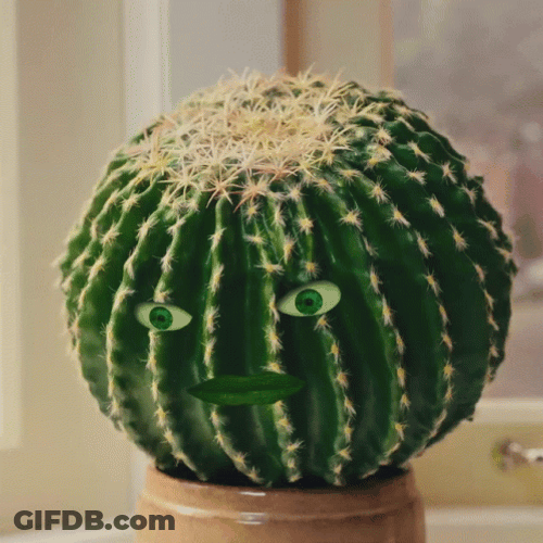 Cactus With Human Mouth And Eyes GIF