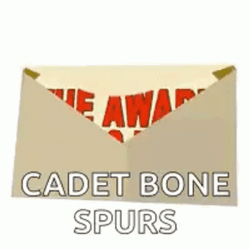 Cadet Receives Award GIF
