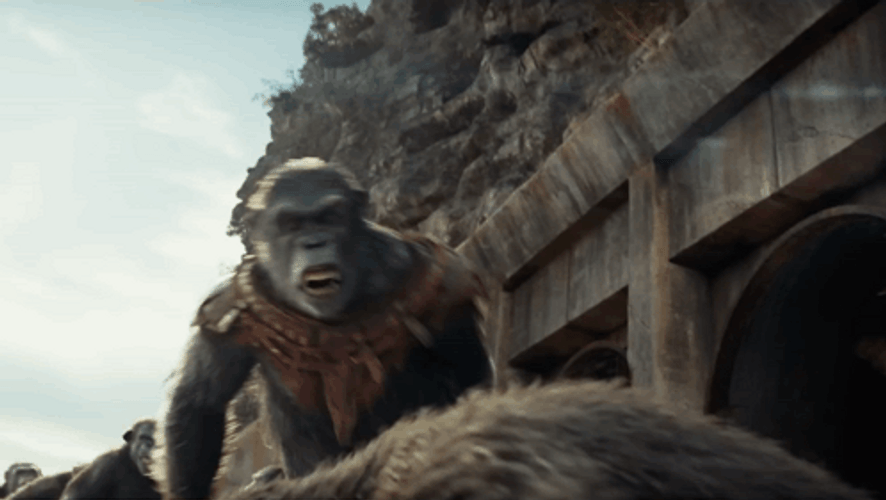 Caesar Enemy Gone Mad GIF