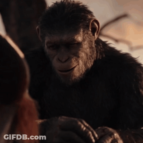 Caesar Good Advice GIF