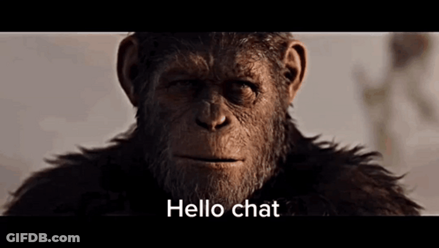 Caesar Hello Chat GIF