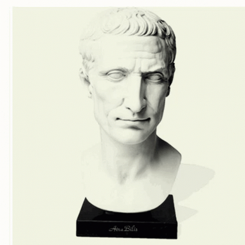Caesar Portrait Changed To Mr. Bean GIF