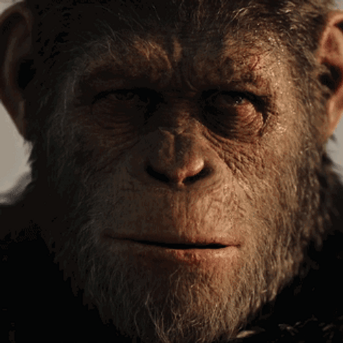 Caesar Rise Of The Planet Of The Apes GIF