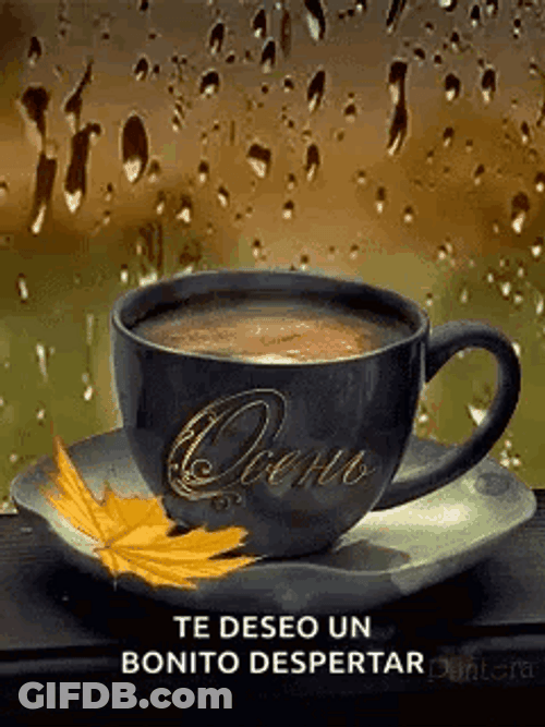 Cafe Buenos Dias GIF