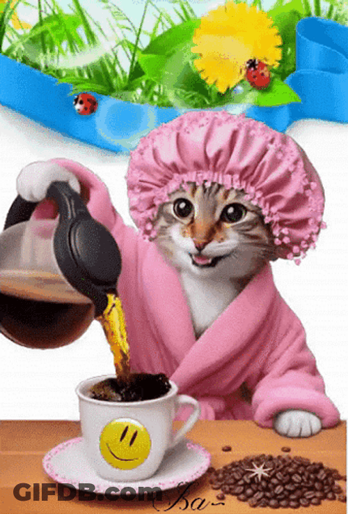 Cafe Buenos Dias GIF