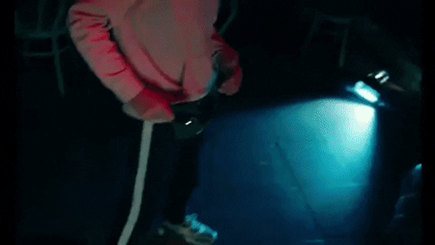 Cafe Overload GIF