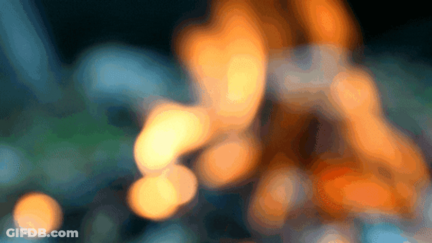Calcifer In A Campfire GIF