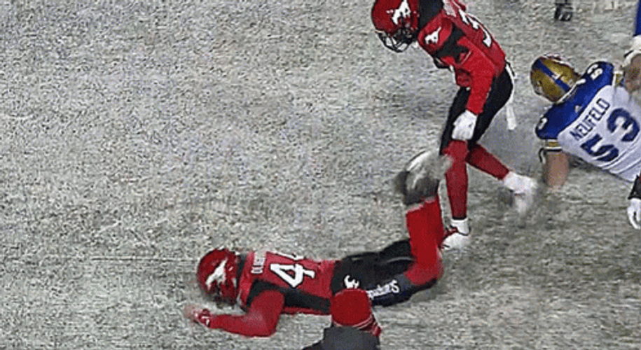 Calgary Stampeders The Worm Football Sunday GIF