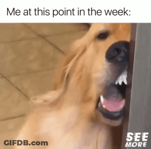 Calgon Take Me Away Exhausted Pup GIF