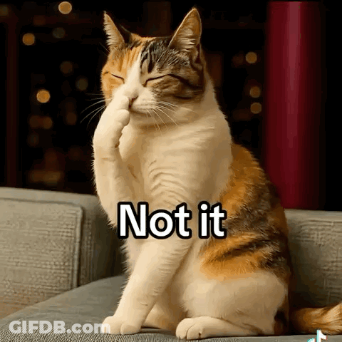Calico Cat Covering Face With Paw GIF