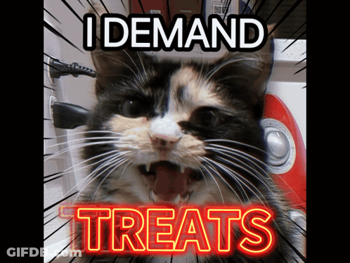 Calico Cat Demanding Treats GIF