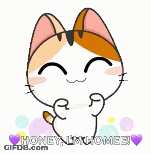 Calico Cat Holding Paws Up Honey I'm Home GIF