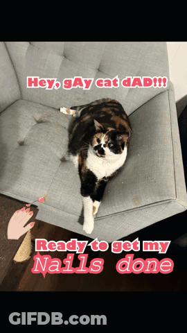 Calico Cat On Couch Says Hey Gay Cat Dad Ready To Get My Nails Done GIF