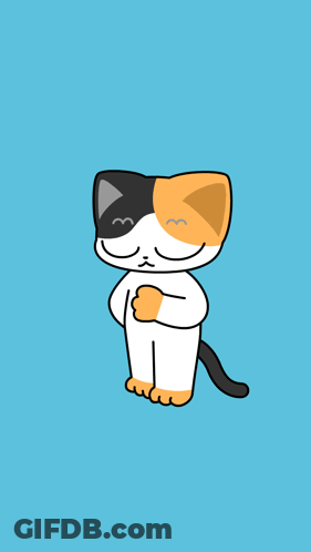 Calico Cat Standing On Blue Surface GIF