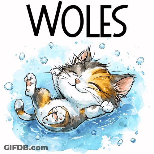 Calico Cat Swimming With Woles GIF