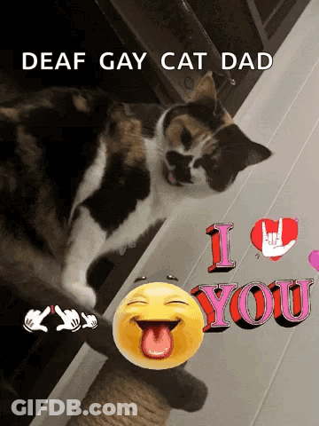 Calico Cat Tongue Out Sign Deaf Gay Cat Dad I Love You GIF