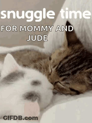 Calico Kitten Sleeping On White Blanket GIF