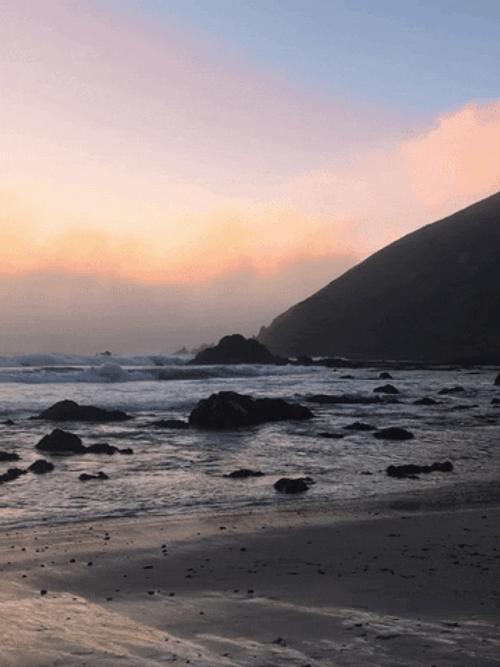 California Bay Area GIF