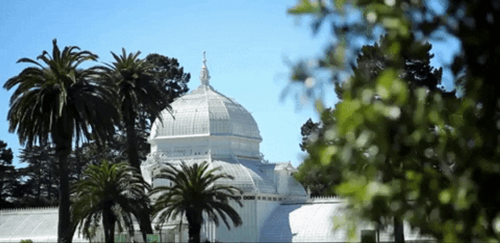 California Golden Gate Park GIF