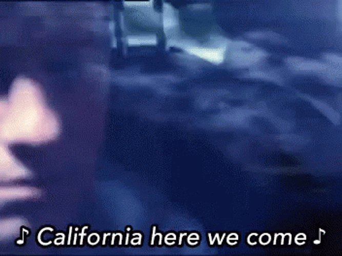 California Here We Come GIF