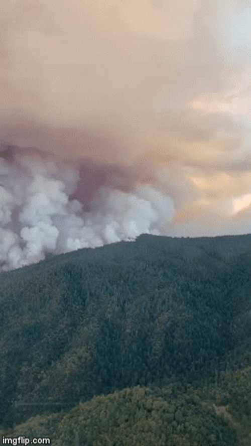 California Wildfire View GIF