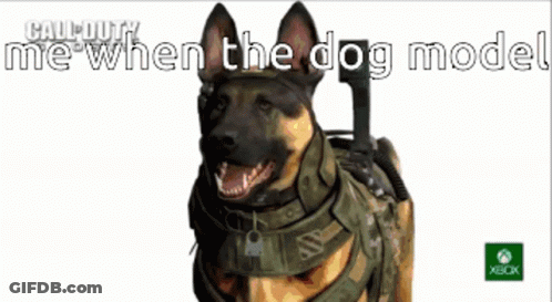 Call Of Duty Ad Dog Wearing Helmet GIF