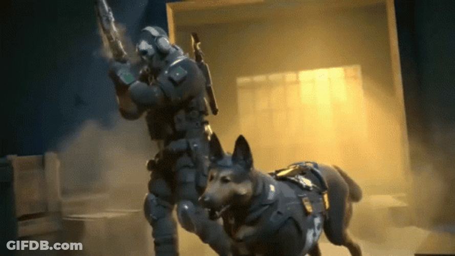 Call Of Duty Ghost Walking With The Dog GIF
