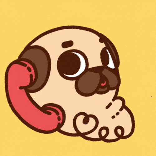Calling Love Cute Dog Puglie Pug GIF
