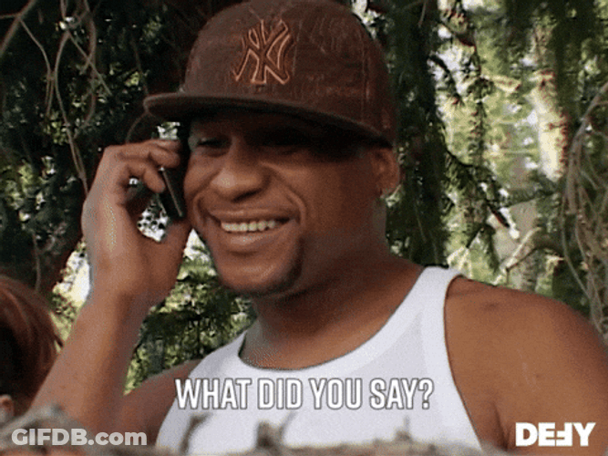 Calling What Would You Say You Do Here GIF