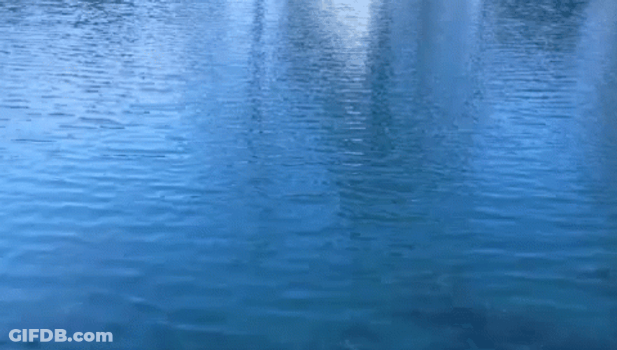 Calm Blue Ocean Water GIF