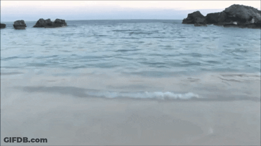 Calm Blue Wave On The Shore GIF