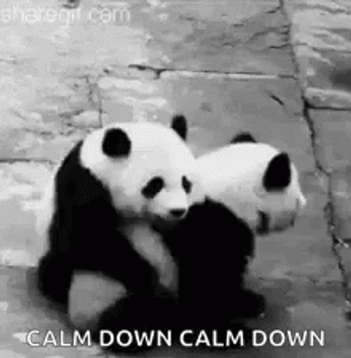 Calm Down Cute Panda Hug GIF