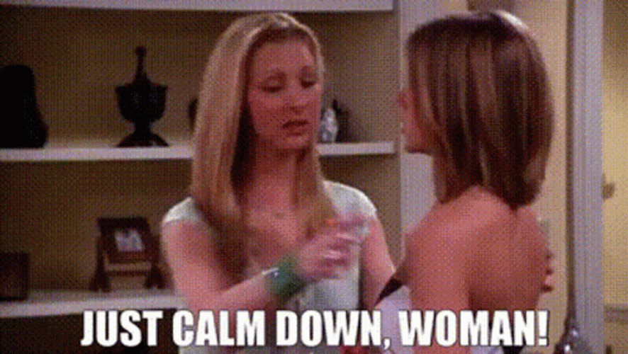Calm Down Phoebe Shaking Rachel GIF