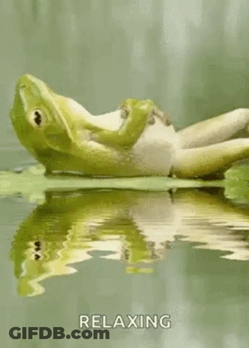Calm Frog Relaxing Water Chill GIF