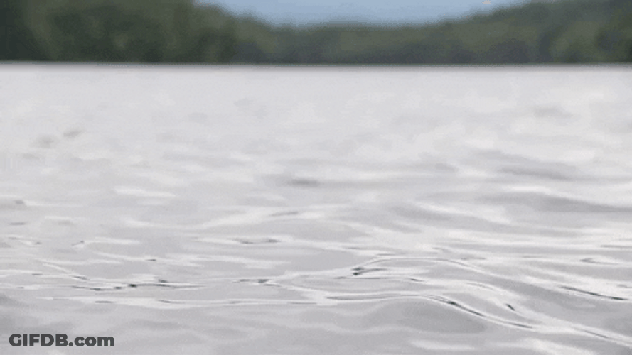 Calm Moving Water Loop GIF