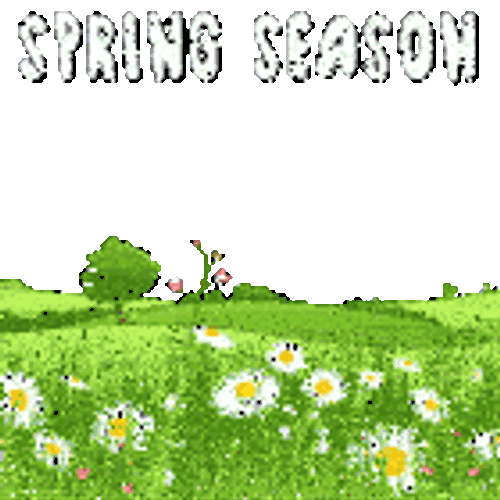 Calm Spring Sticker GIF