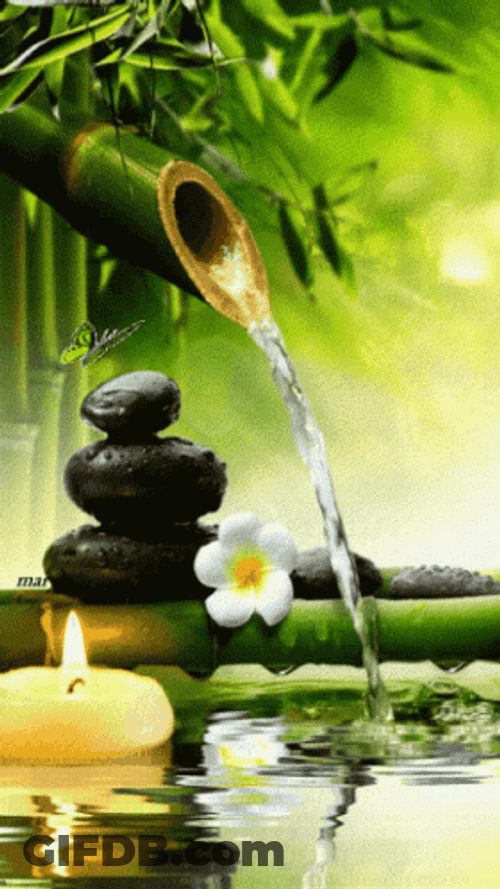 Calming Bamboo Water Zen Candle GIF