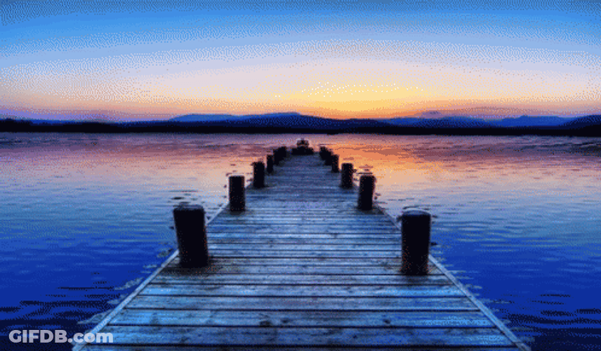 Calming Bridge Lake GIF