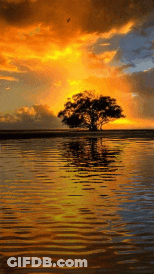 Calming Lake Water Sunset Sky GIF
