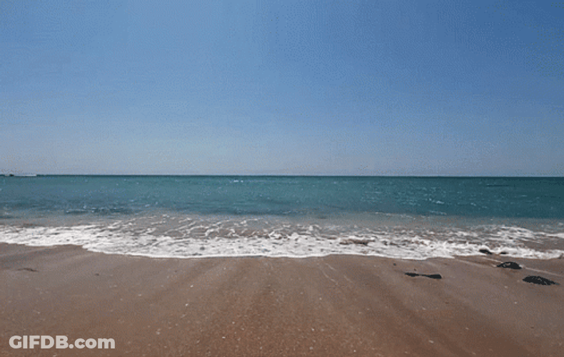 Calming Sea Shore GIF