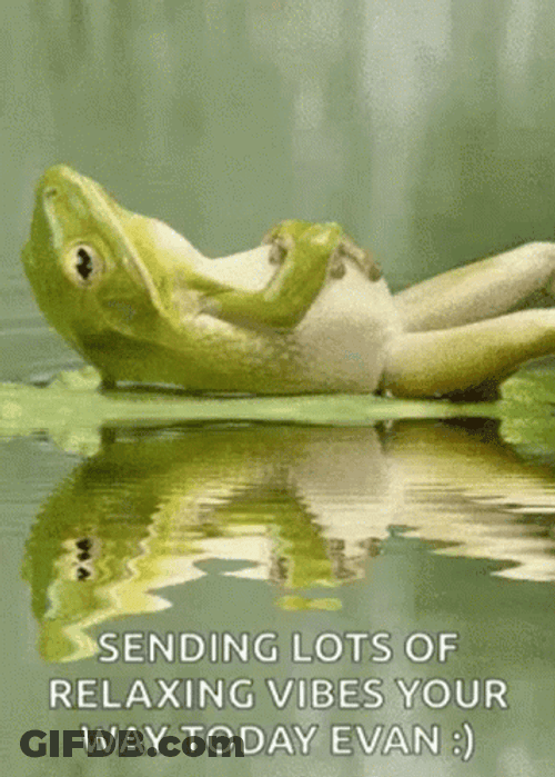 Calming Water Relax Frog GIF