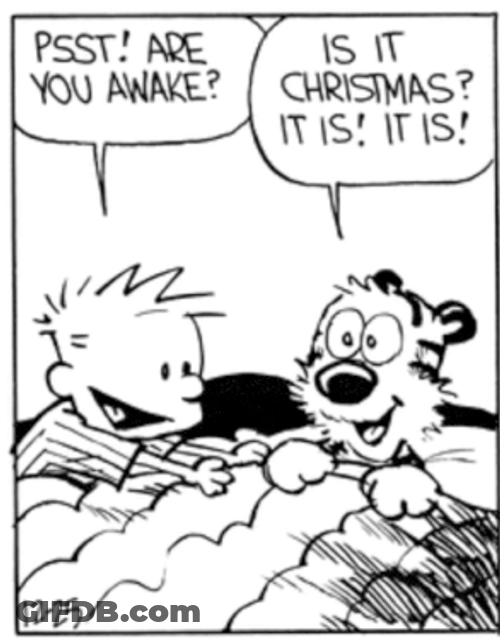 Calvin And Hobbes Christmas Morning Sleep In Mom Dad Presents Loot Sleeping In GIF