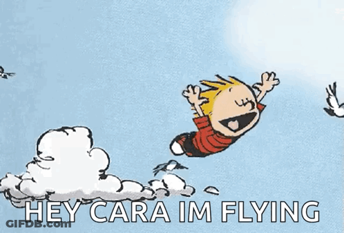 Calvin And Hobbes Flying Hey Cara Im Flying GIF
