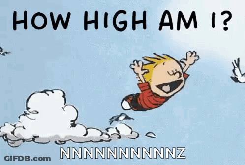 Calvin And Hobbes Flying How High Am I GIF