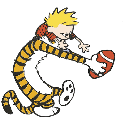 Calvin And Hobbes Football Fight GIF