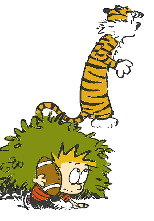 Calvin And Hobbes Hide-And-Seek GIF