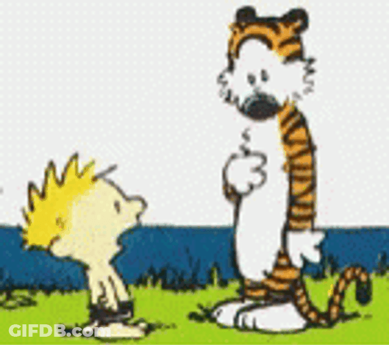 Calvin And Hobbes Summer Beach Swim GIF