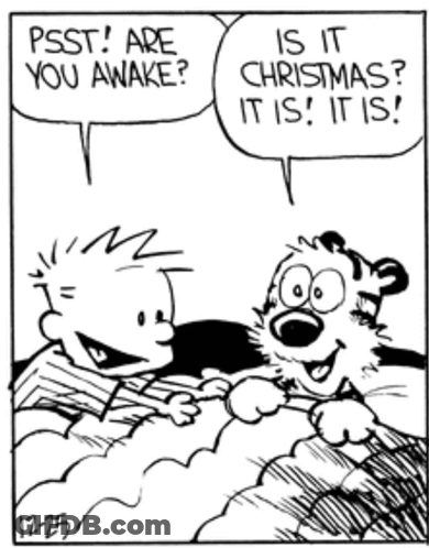 Calvin And Hobbes Talk Christmas GIF