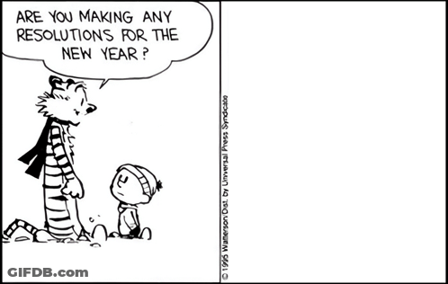 Calvin And Hobbes Talking About Resolutions GIF