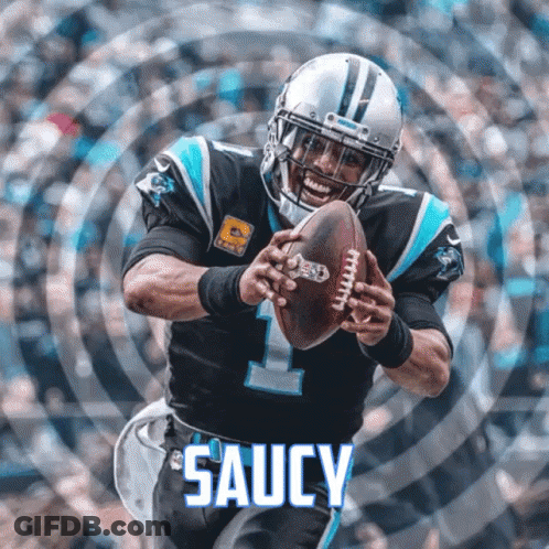 Cam Newton Holding Football GIF